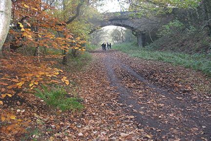 three people walking in autumn wood