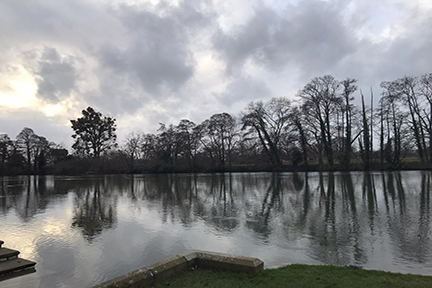 lake and trees