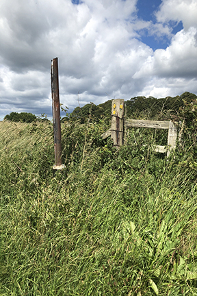photo of a stile in a field