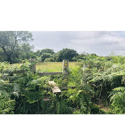 photo of a stile in a field